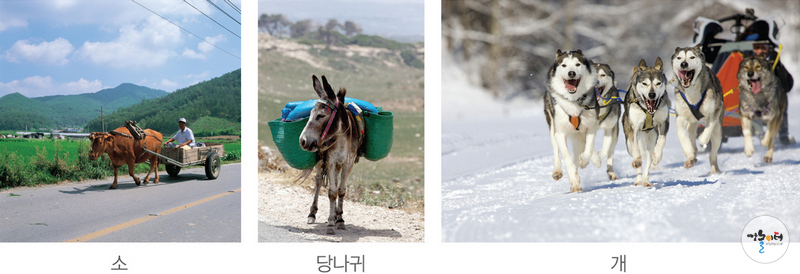 동물을 이용한 교통수단, 말 도해